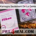 Kamagra Seulement De La Gelée 32